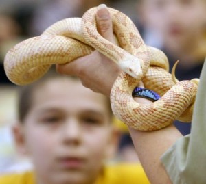 akron zoo snake