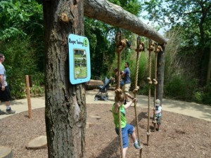 Nature's Play Akron Zoo new playground
